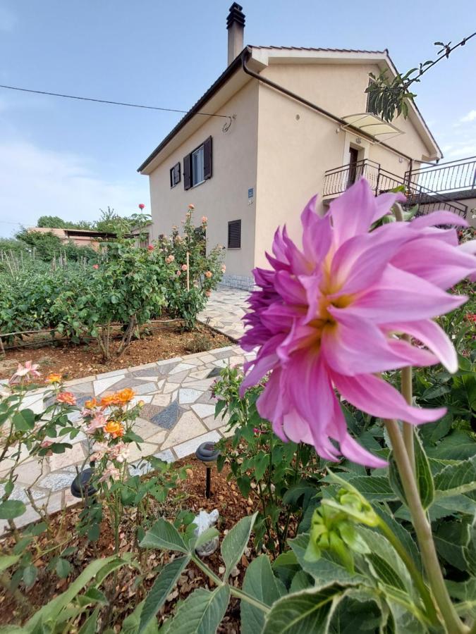 Apartments Rusin Linardici ภายนอก รูปภาพ
